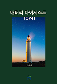 배터리 다이제스트 TOP41