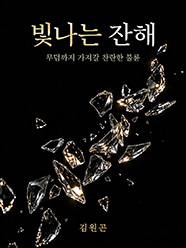 빛나는 잔해